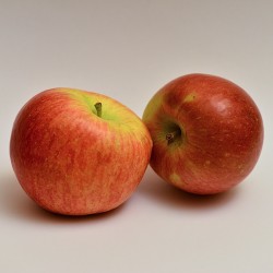 Manzano Fuji Raiz protegida