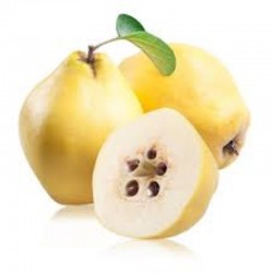 MEMBRILLO RAIZ PROTEGIDA