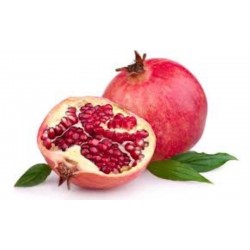 GRANADO RAIZ PROTEGIDA