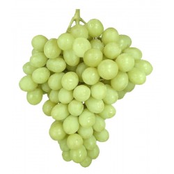 Parra uva mesa"Superior sin...