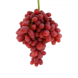 UVA DE MESA CRIMSON (SIN...