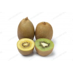Actinida deliciosa - Kiwi...