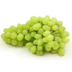 Uva Regal sin pepitas raiz...