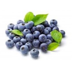 ARANDANOS (Vaccinium