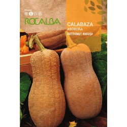 Semillas-Calabaza Butternut...