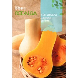 Semillas Calabaza BUTTERNUT