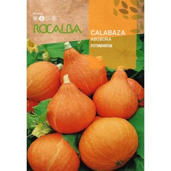 Semillas calabaza POTIMARRON