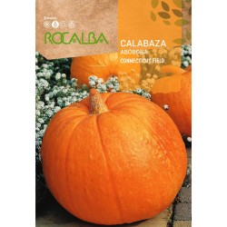 Semillas calabaza...