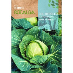 Semilla col