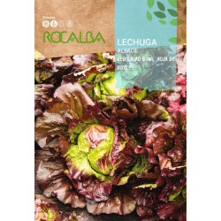 Semilla lechuga "HOJA DE...