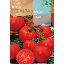 Semillas tomate "COLGAR"