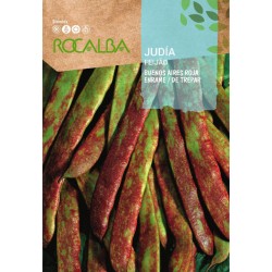 Semilla Judía Buenos Aire...