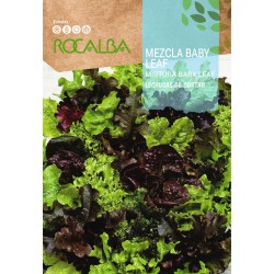 Semilla lechuga "MEZCLA...