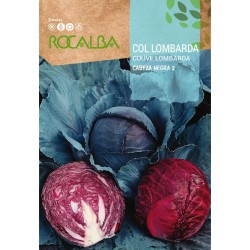 Semilla col Lombarda...