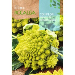 Semillas coliflor...
