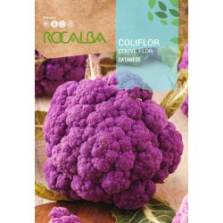 Semillas coliflor "CATANESE"