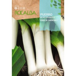 Semillas puerro "VERDE DE...