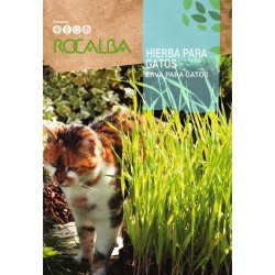 Semillas hierba para gatos