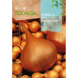Semillas cebolla "COLORADA...