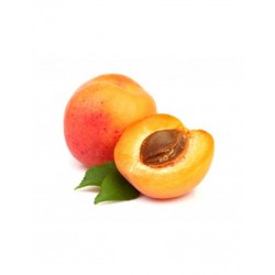 copy of Albaricoque...